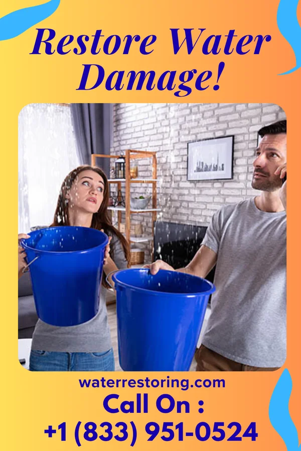 water restoration New Water Repair Co McAllen
