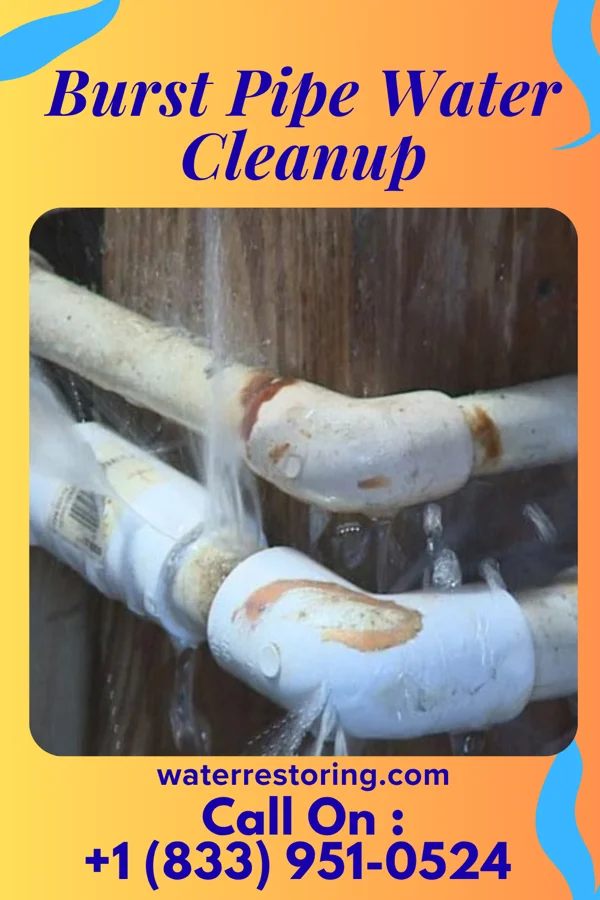 Burst Pipe Water Cleanup in McAllen, TX