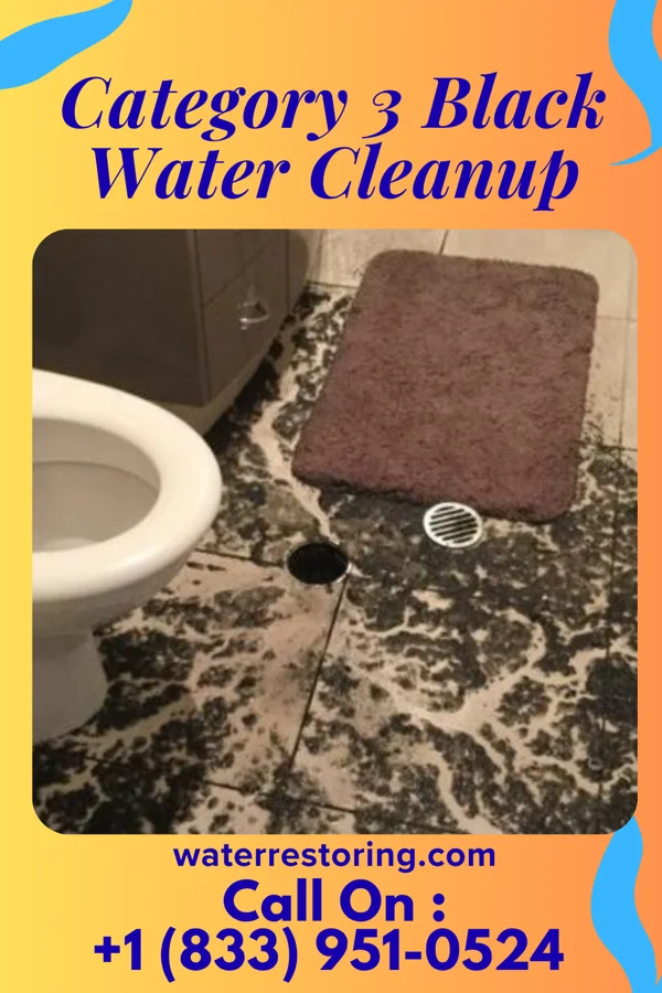 Category 3 Black Water Cleanup in McAllen, TX