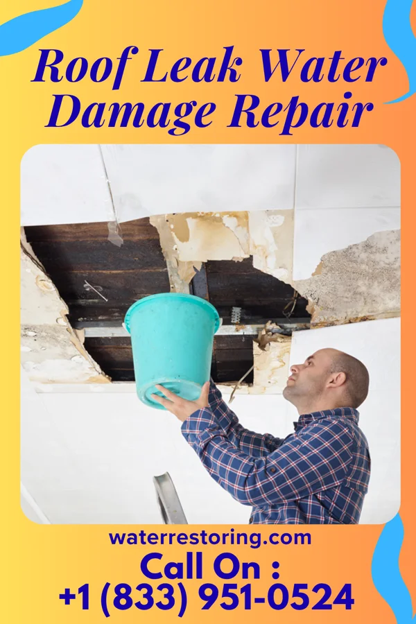 Roof Leak Water Damage Repair in McAllen, TX